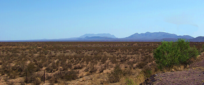 Banner image of Roswell